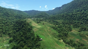 31 Challenging Bush Strips in PNG thumbnail 17
