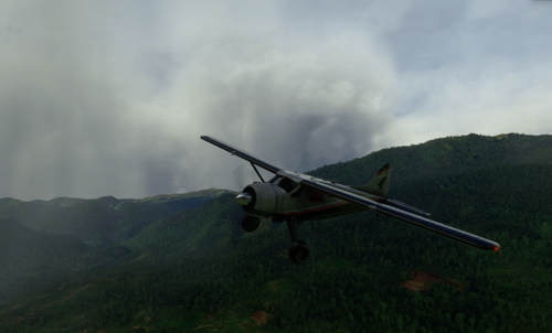 Better Bushtrips - WU13 New Guinea Challenge