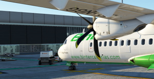 Binter Canarias (opby Binter Airlines) | Complete Fleet Pack  thumbnail 6