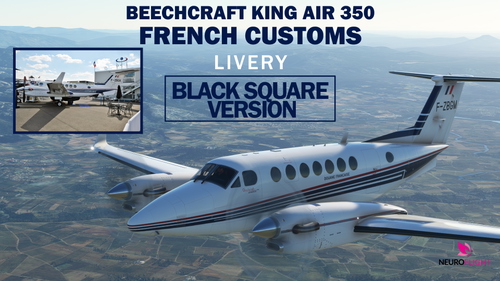 Black Square King Air 350 - French Customs Livery [4K]
