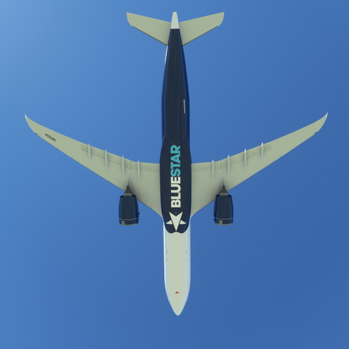 Bluestar Airlines Airbus A330-900 (N876SN - 2023)