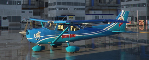 C172 G1000 Lucky Luke