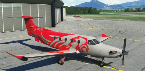 CARENADO PILATUS PC 12 M-NGSN