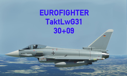 CJ Simulations Typhoon TaktLwG31_6Liveries