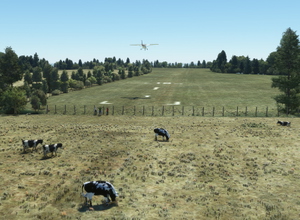 Clacton Airfield - EGSQ thumbnail 1