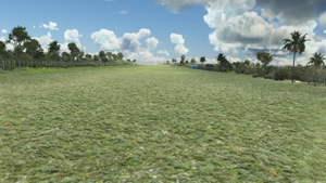 Coco Point Lodge Airport (COCO) thumbnail 5