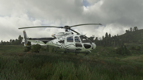 Cowan H125 HB-ZVU (EliTicinoTarmac)