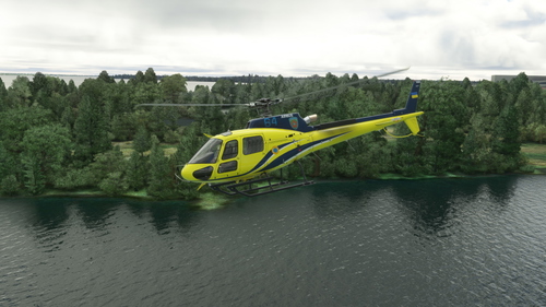 Cowan H125 MIL n°27 & n°64 (Ukraine - Border Guard)