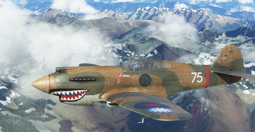 Curtiss P-40C AVG #75