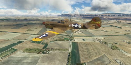 Curtiss P-40F 79th FG #A10 "Africa Special"