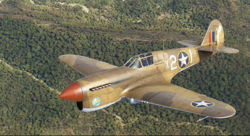 Curtiss P-40F 79th FG #X21 'Fifinella'