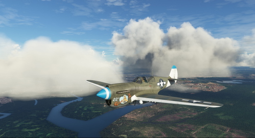 Curtiss P-40N Warhawk 49th FG #22 "Grade A"