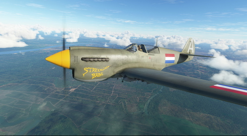 Curtiss P-40N Warhawk Royal Dutch Air Force C3-529 "Streamline Babe"
