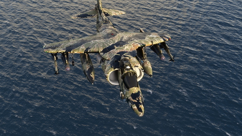 DC Designs AV8-B Tiger Stripe