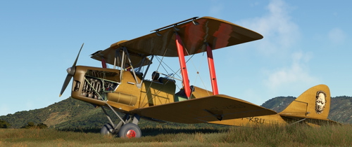 DH-82 Tiger Moth "Nakuru" 5Y-KRU beige