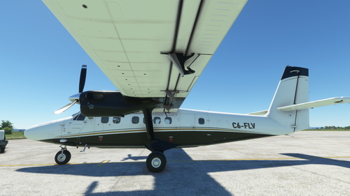 DHC-6 Twin Otter Flamingo Air Bahamas C6-FLV request