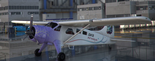 DHC2 "BEAVER"  -  SAKE Airways
