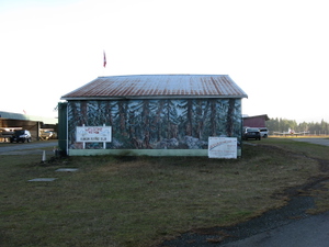 Duncan Airport (CAM3) thumbnail 11