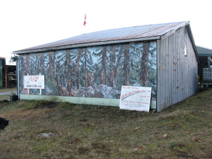 Duncan Airport (CAM3) thumbnail 12
