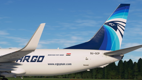 Egyptair Cargo (SU-GCP) - PMDG 737-800