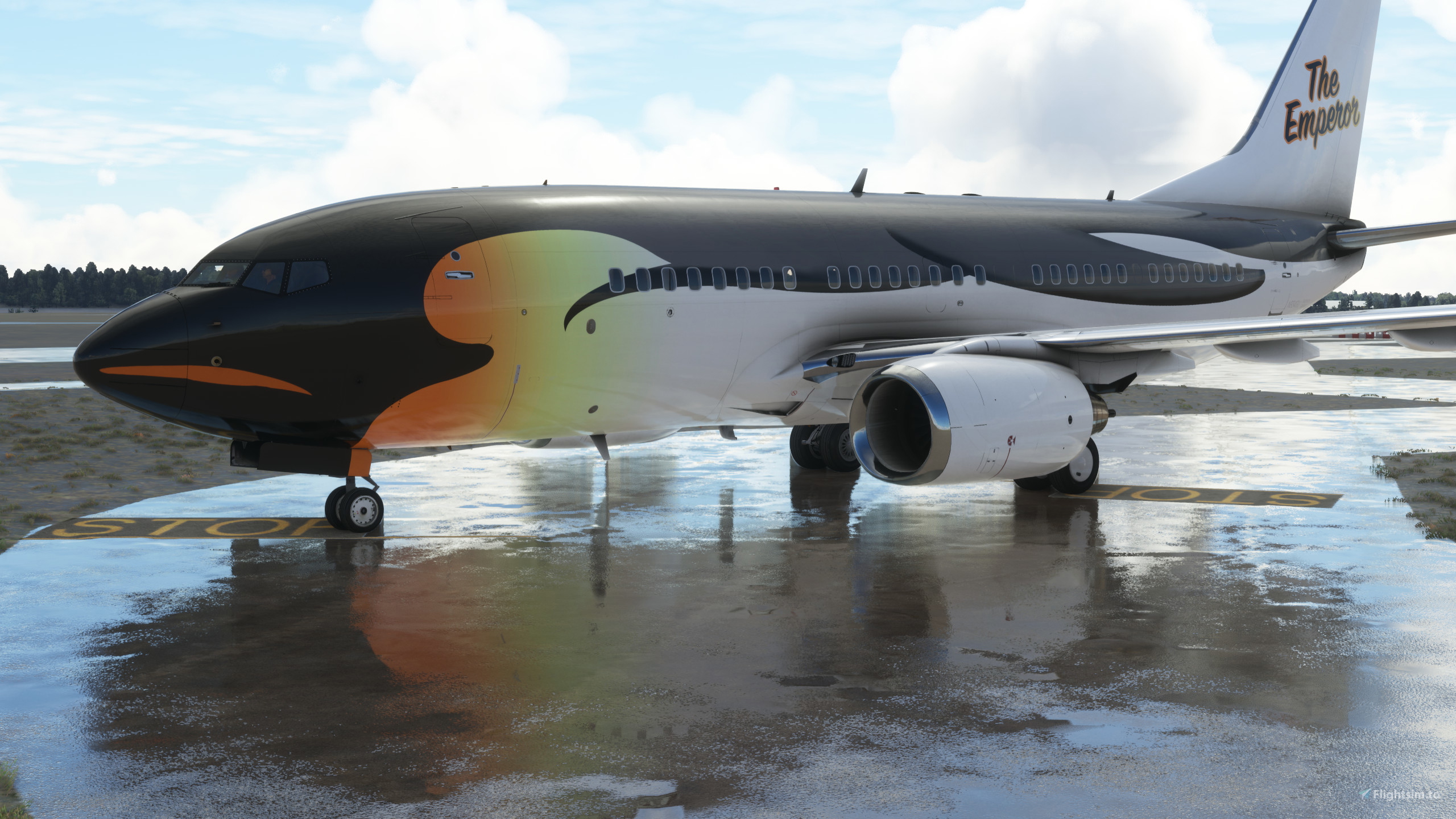 ペンギン The Emperor Penguin PMDG 737-700 BBJ (N934GU / Fictional) for