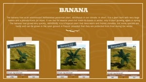 Ethnicfs Vegetation library thumbnail 7