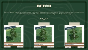 Ethnicfs Vegetation library thumbnail 8