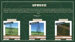 Ethnicfs Vegetation library thumbnail 11