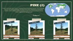 Ethnicfs Vegetation library thumbnail 18
