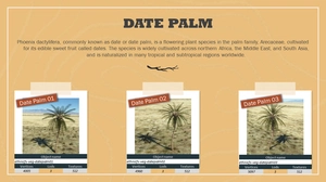 Ethnicfs Vegetation library thumbnail 19