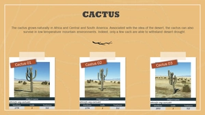 Ethnicfs Vegetation library thumbnail 22