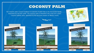 Ethnicfs Vegetation library thumbnail 23