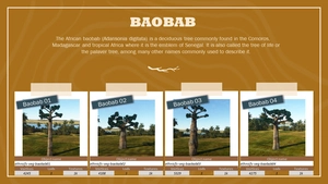 Ethnicfs Vegetation library thumbnail 24