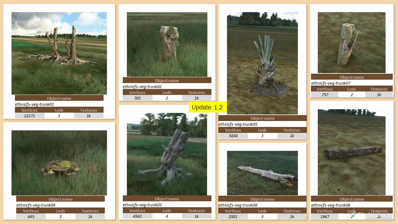 Ethnicfs Vegetation library - Image 2
