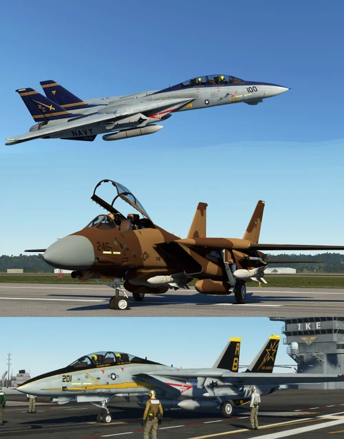 F-14 Package