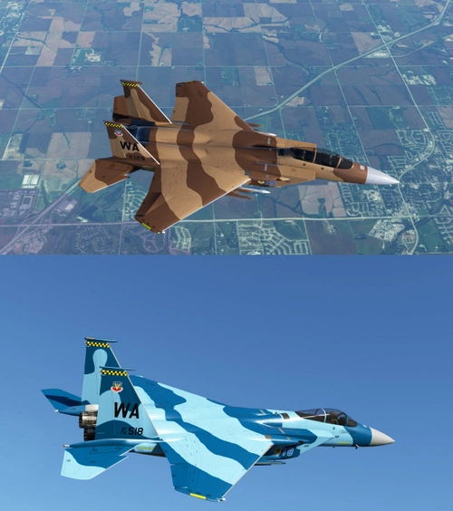 F-15 Aggressors Package