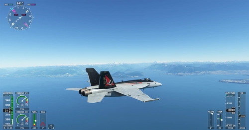 F/A-18 VFA-14 Livery