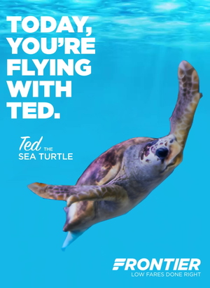 FBW A32NX Frontier | N396FR | Ted the Sea Turtle | 8K thumbnail 8