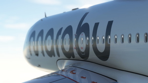 FBW A32NX Marabu Airlines | 4K thumbnail 4