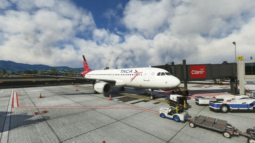 Fenix A320 - TACA Airlines 2008 (CFM)