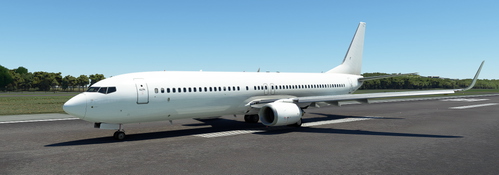 Full White N574TM [Request] [PMDG 737-900] [BW|SSW]