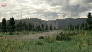 Georgetown Airstrip North, PGTN, Alaska thumbnail 11