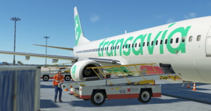 [GSX PROFILE] AmSim – Pisa International Airport (LIRP) thumbnail 7