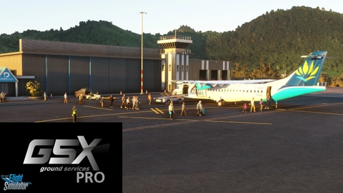 GSX Profile, Sint Maarten, L'Esperance, TFFG, SFG