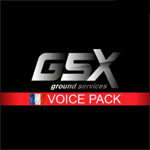 [GSX] Sound Pack French Voices - Image 2