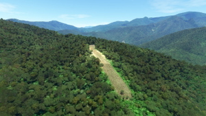 Highlands Papua Airstrip Collection thumbnail 1