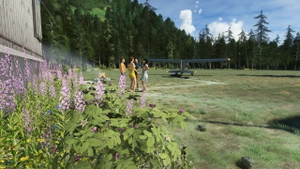 Hoback Mountain Strip - 1HBMS thumbnail 4