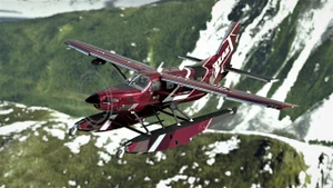2020/24 Kodiak 100 Mega Pack | STOL Addicts thumbnail 18