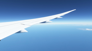 Kuro 787-8 Wingflex Mod thumbnail 5