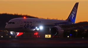 [Kuro B787-8 v2] All Nippon Airways ANA 787 Special Livery JA810A thumbnail 2